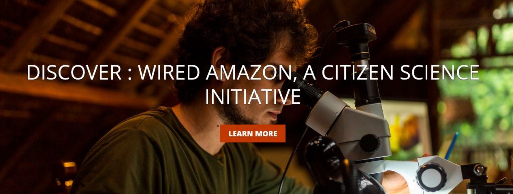 wired amazon